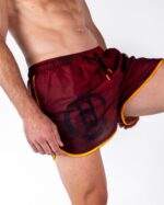 Летњи шортс – Премиум - Слика 2